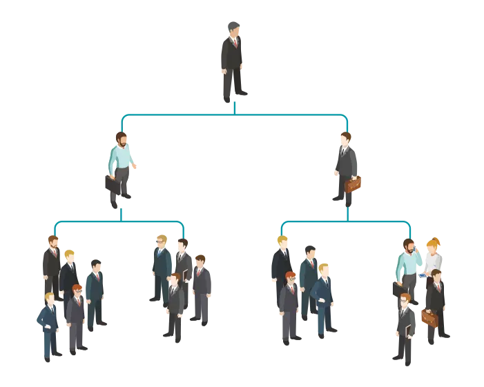 Organization Hierarchy