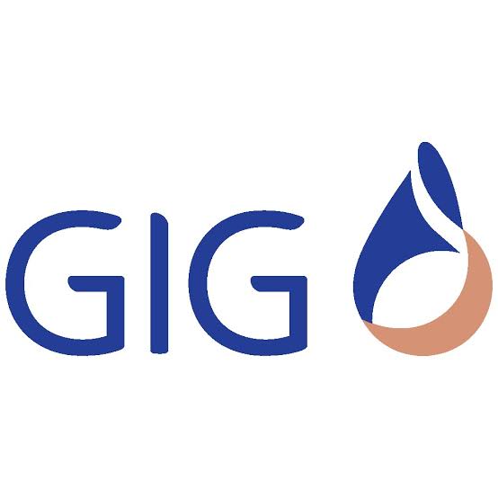 Gulf Insurance Group