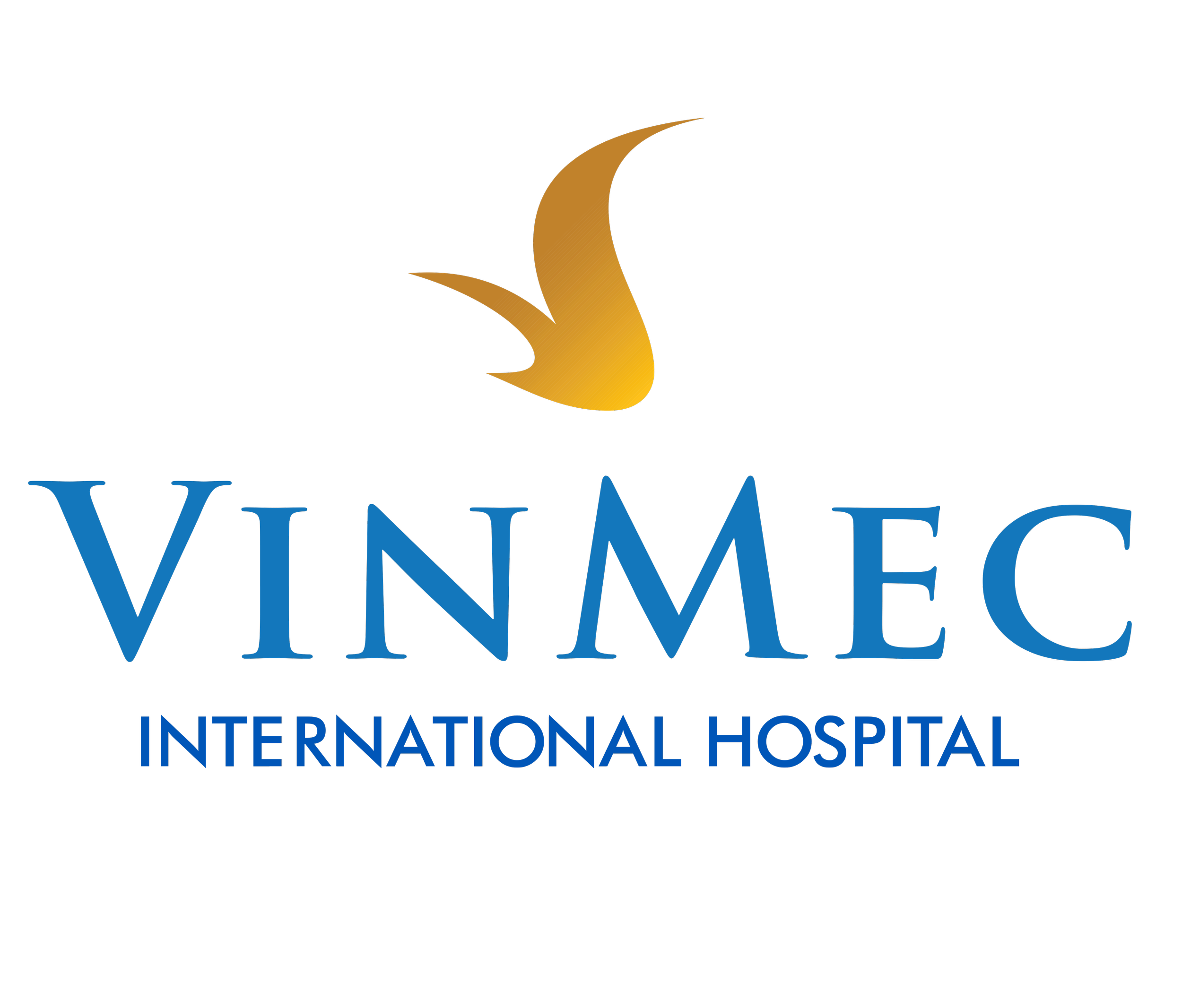 vinmec international hospital